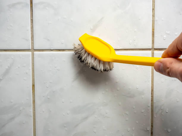 Best Black Mold Removal  in Northford, CT