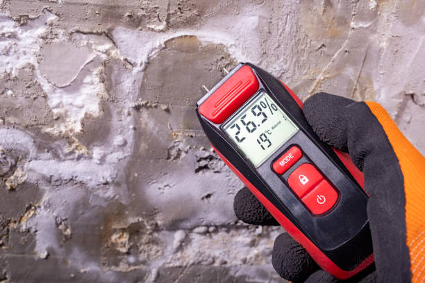 Certified Mold Removal in Northford, CT