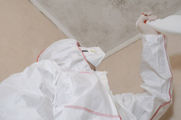 Trusted Northford, CT Mold Removal Experts